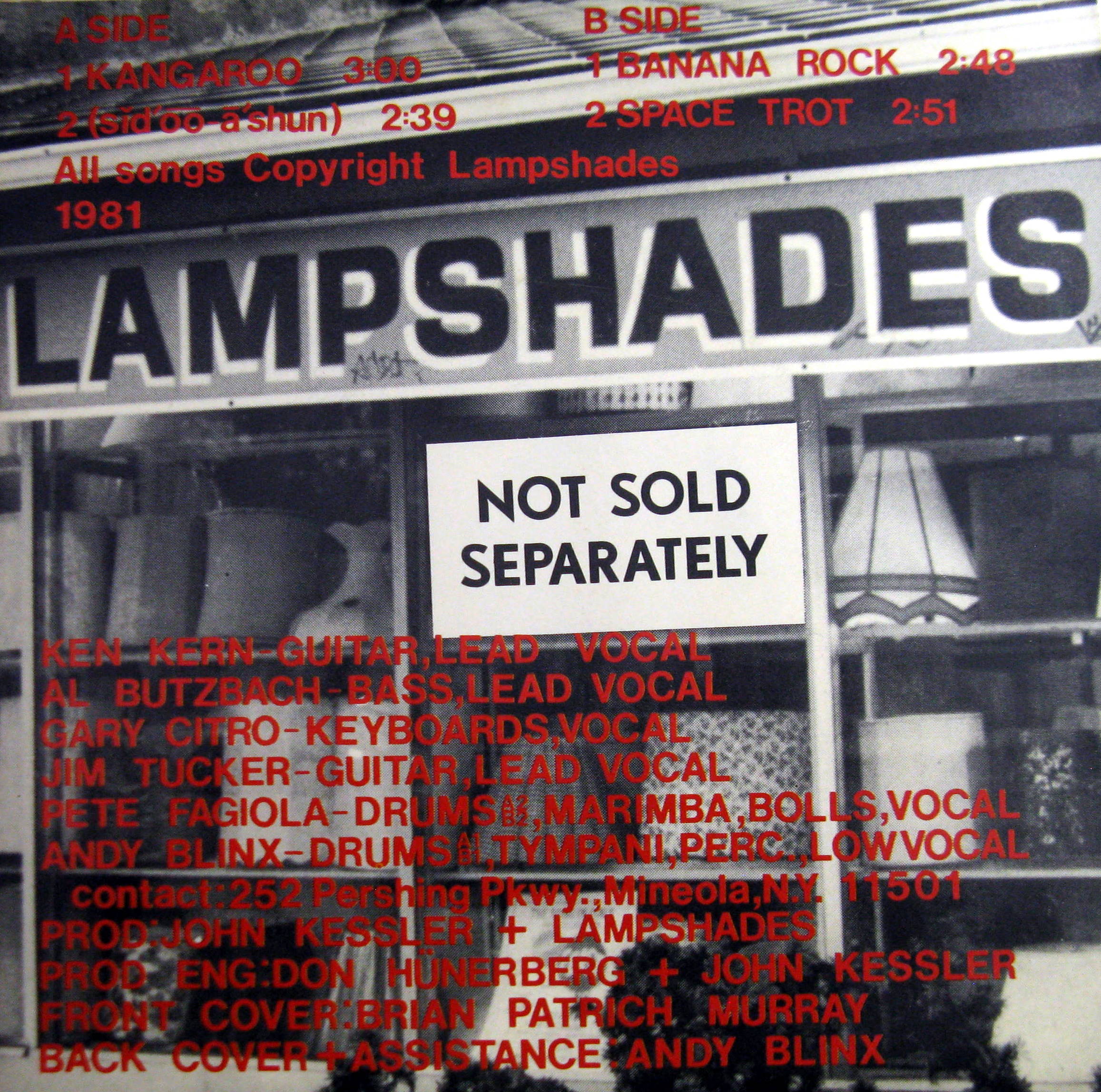 lampshade back cover